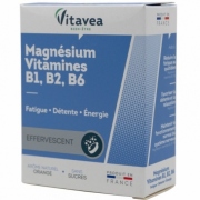Maisto papildas Magnis + vitaminai B1, B2, B6 Vitavea N24