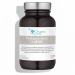 Maisto papildas Phytonutrient + MSM The Organic Pharmacy N60