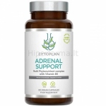 Maisto papildas Adrenal Support su vitaminu B5 Cytoplan N60